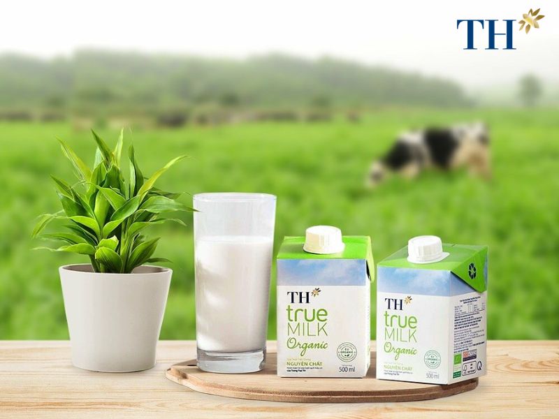 Phân tích kênh phân phối của TH True Milk chi tiết 2024